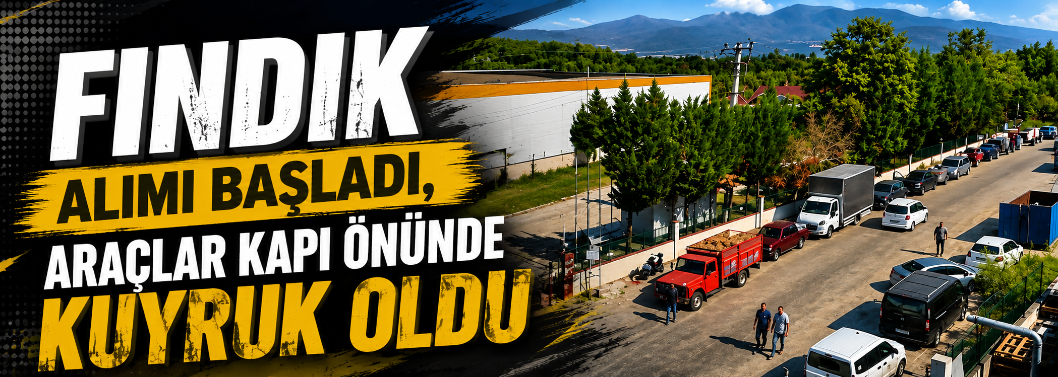 Fındık alımı başladı, araçlar kapı önünde kuyruk oldu