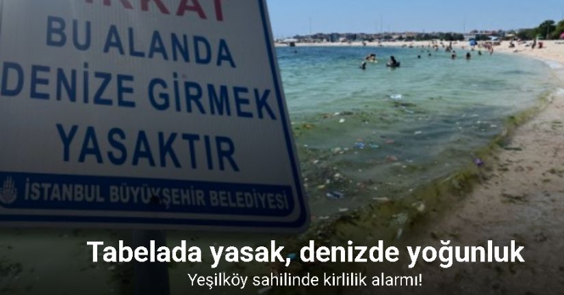 Yeşilköy sahilinde kirlilik alarmı