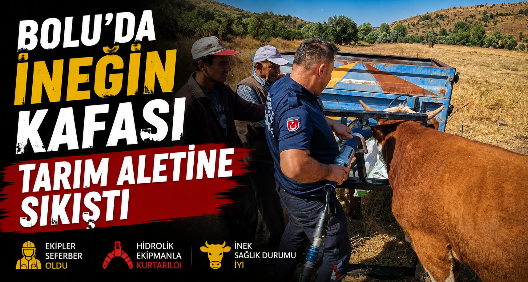 Bolu’da ineğin kafası tarım aletine sıkıştı