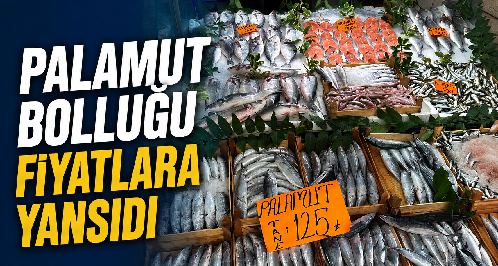 Palamut Bolluğu Fiyatlara Yansıdı