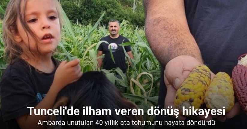 20 yıl sonra Rusya’dan memleketine döndü, ata tohumunu yeniden yaşattı