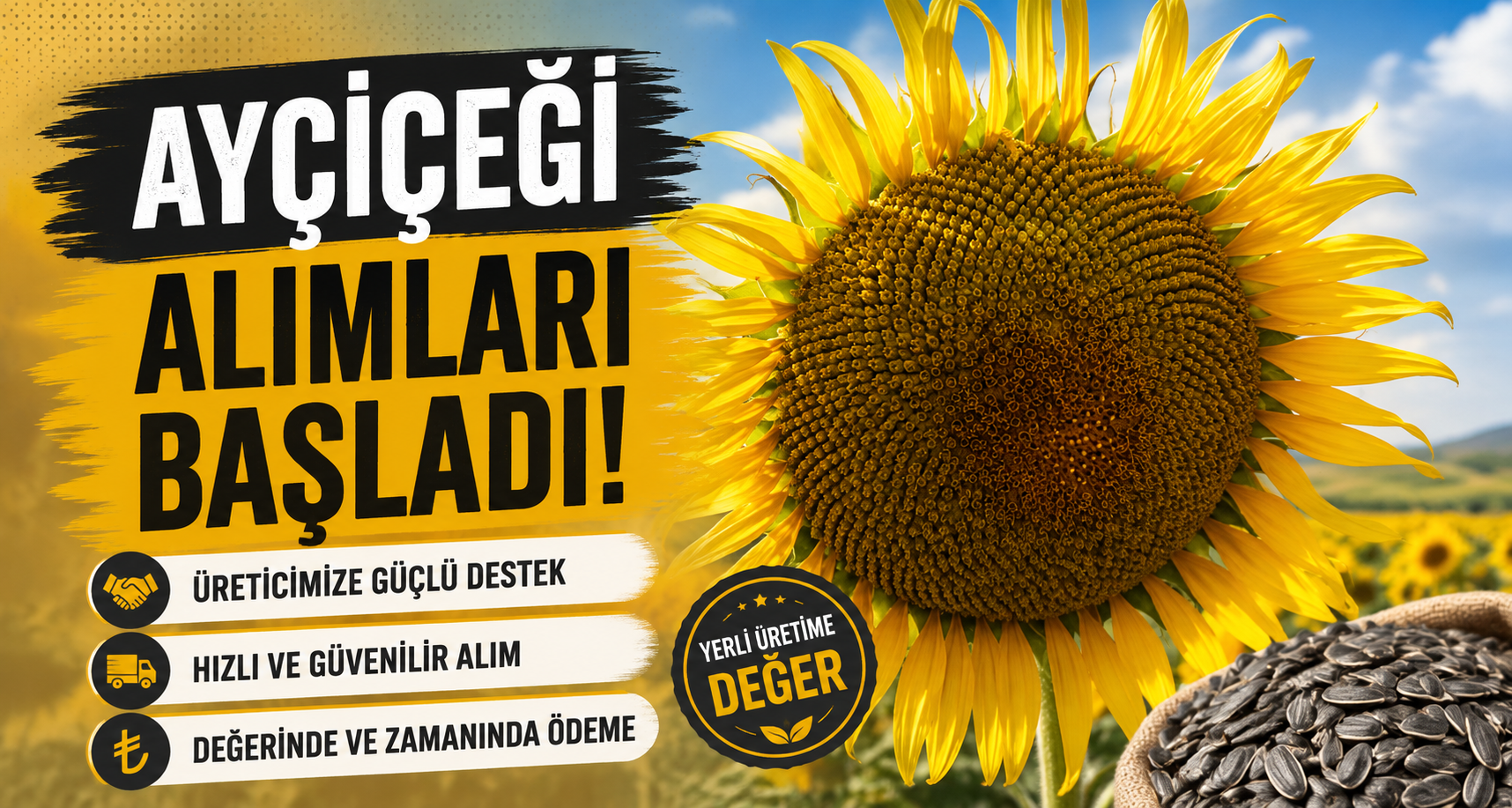 Ayçiçeği alımları başladı
