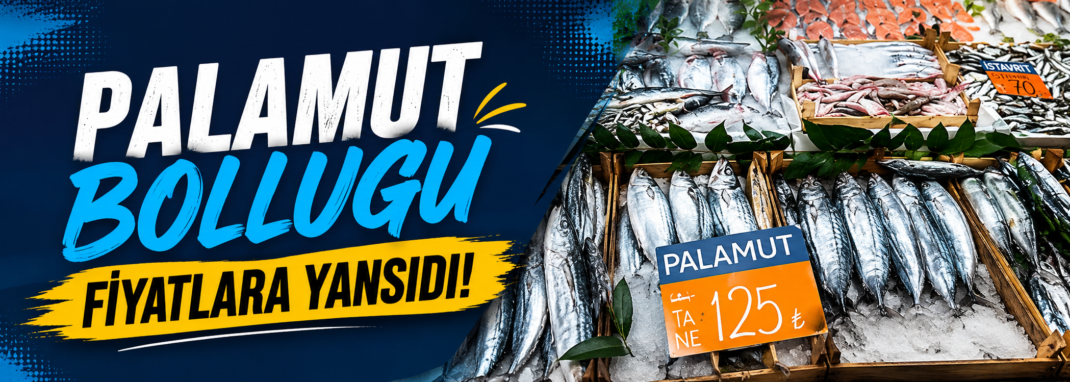 Palamut Bolluğu Fiyatlara Yansıdı