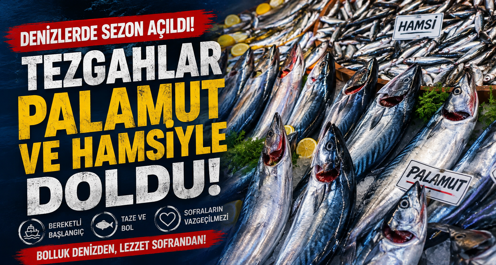 Denizlerde sezon açıldı, tezgahlar palamut ve hamsiyle doldu