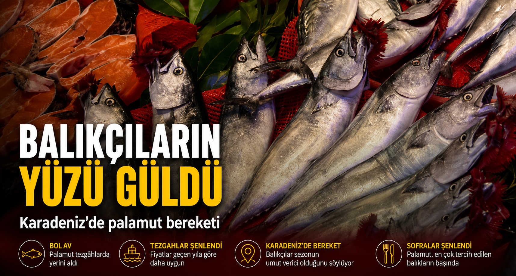 Balıkçıların yüzü güldü: Karadeniz’de palamut bereketi