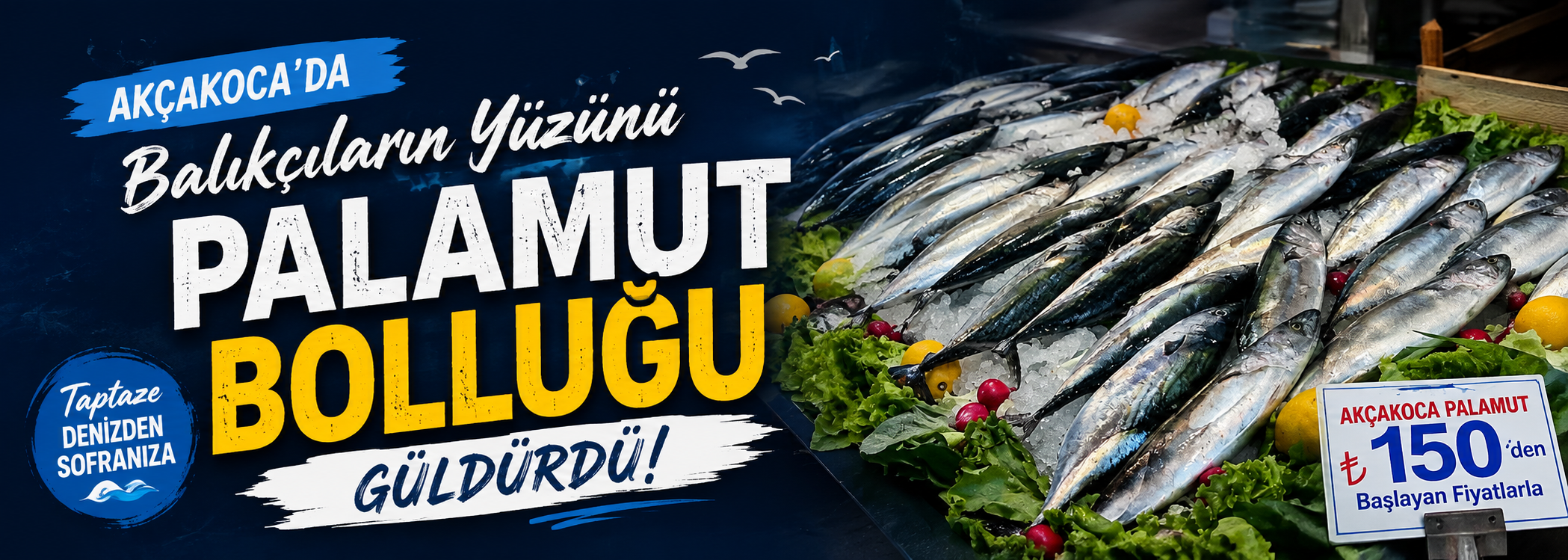 Balıkçıların yüzünü palamut bolluğu güldürdü