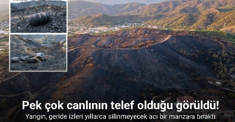Yangın, geride izleri yıllarca silinmeyecek acı bir manzara bıraktı