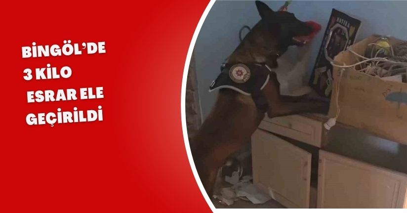 Bingöl’de 3 kilo esrar ele geçirildi