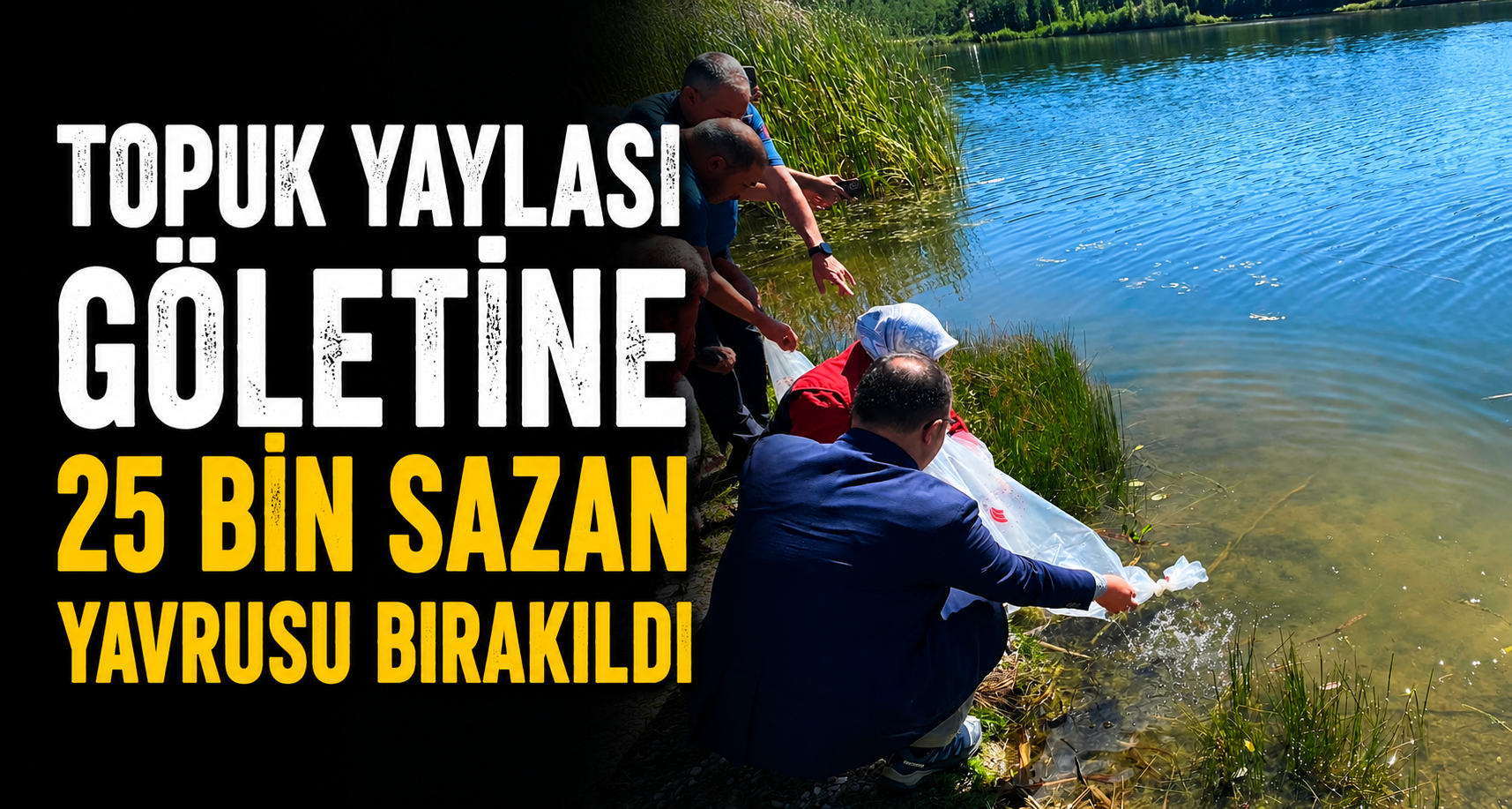 Topuk Yaylası Göletine 25 bin sazan yavrusu bırakıldı