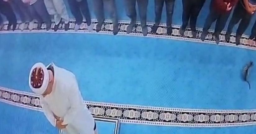 Camide kediyi tekmeleyen şahsa sosyal medyada tepki yağdı: Başsavcılık harekete geçti, gözaltına alındı