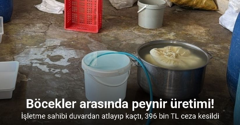 Böcekler arasında peynir üretimi: İşletme sahibi duvardan atlayıp kaçtı, 396 bin TL ceza kesildi
