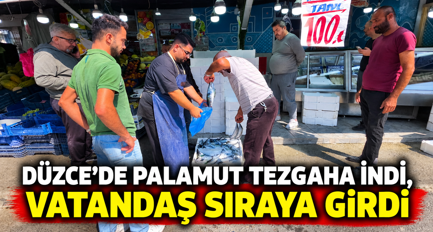 Düzce'de palamut tezgaha indi, vatandaş sıraya girdi