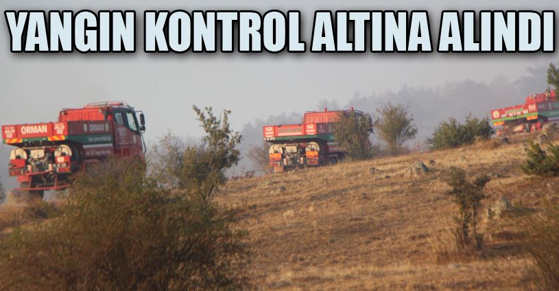 Bolu’da, 40 hektarlık alanda etkili olan orman yangını kontrol altına alındı