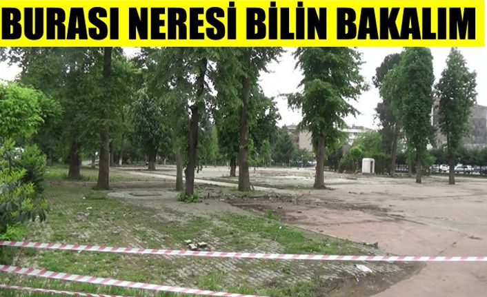 Parklar eski haline dönmeye başladı