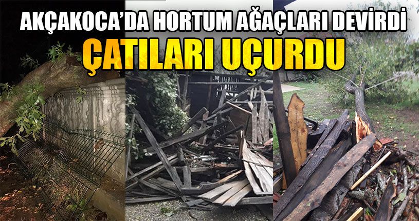 Akçakoca’da Hortum Ağaçları Devirdi