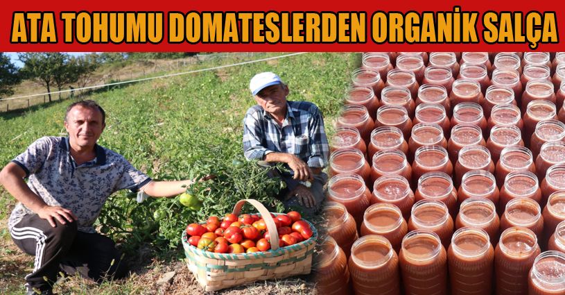 Doğal domateslerden elde ettiği 2 ton salçayı ihaleyle satışa çıkartacak