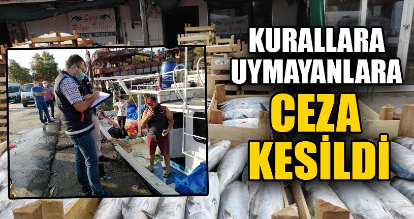 Su Ürünleri Denetimleri Hızlandırıldı