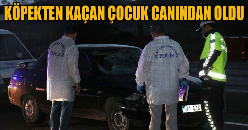 Köpekten kaçmak isterken canından oldu