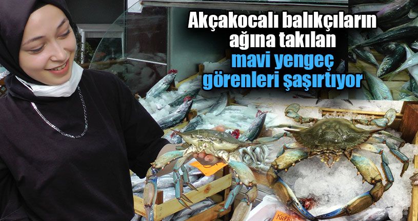 Balıkçılar Ağa Takılanı Görünce Şaşkına Döndüler