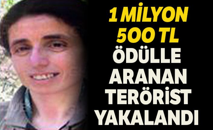 1 milyon 500 bin TL ödülle aranan terörist  yakalandı