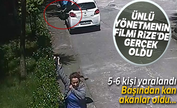 Alfred Hitchcock'un 'Kuşlar' isimli filmi Rize'de gerçek oldu