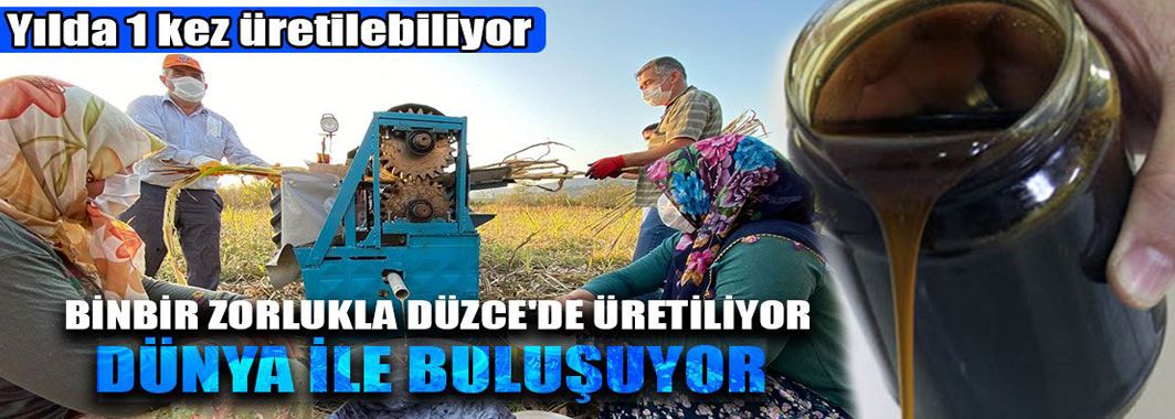 Şekerkamışı Pekmezi-Şurubu Nasıl Üretiliyor ?
