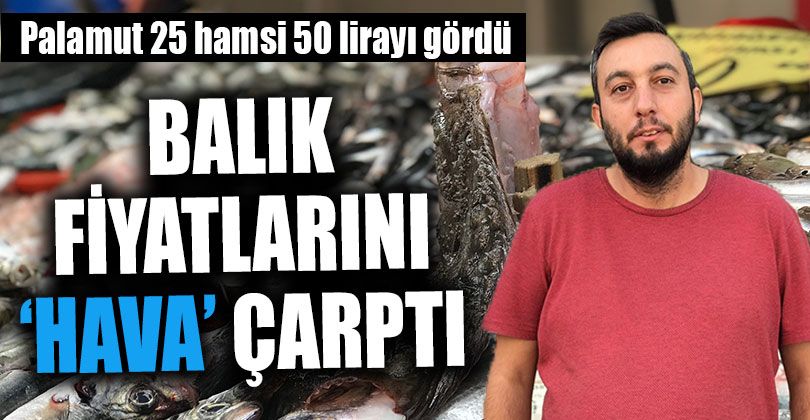 Hamside Umutlar Önümüzdeki Aylara Kaldı