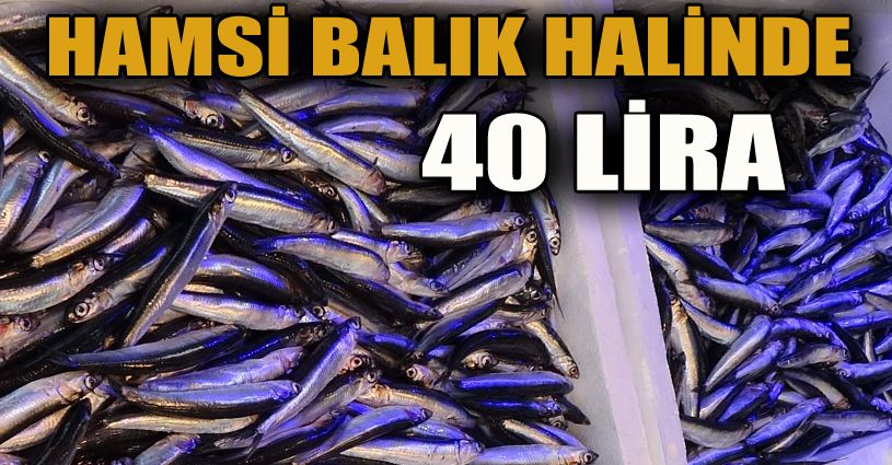 Balık halinde fiyat rekoru hamside