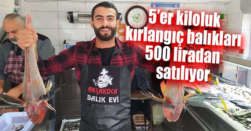 5’er Kiloluk Kırlangıç Balıkları 500 Liradan Satılıyor