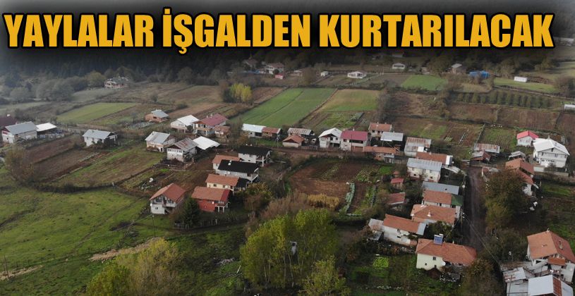 Yaylalardaki kontrolsüz yapılaşma doğal hayatı tehdit ediyor