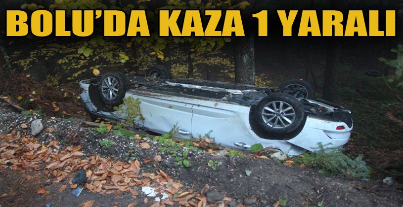 İran asıllı akademisyenin otomobili şarampole devrildi: 1 yaralı