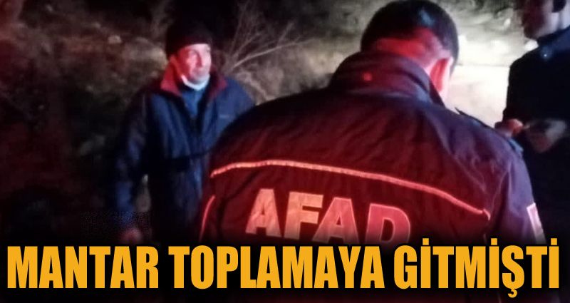 Mantar toplamak için gittiği ormanda kaybolan vatandaş bulundu