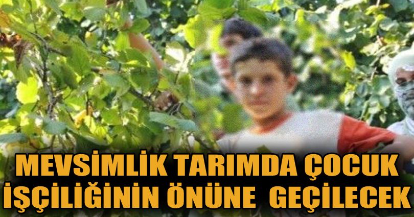 12 bin çocuğa ulaşılacak