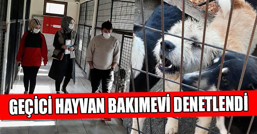 Geçici Hayvan Bakımevi Denetlendi