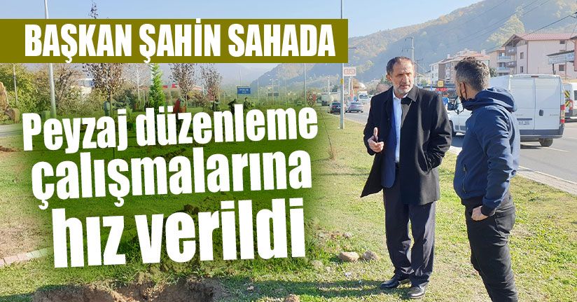 Düzce D-100’de Peyzaj Düzenlemesi Sürüyor