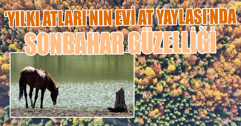At Yaylası’nda Sonbahar Güzelliği
