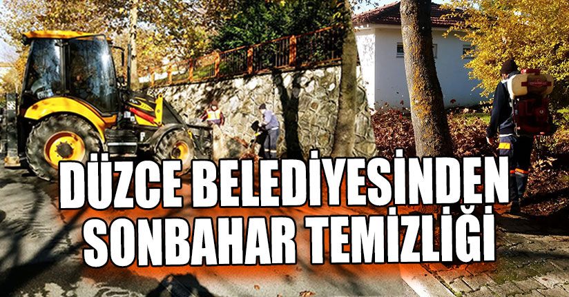 Düzce Belediyesinden Sonbahar Temizliği