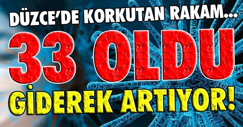 Düzce'de Artış Devam Ediyor