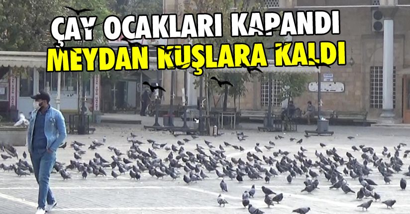Meydanlar güvercinlere kaldı