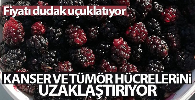 Fiyatı dudak uçuklatıyor, kanser ve tümör hücrelerini uzaklaştırıyor