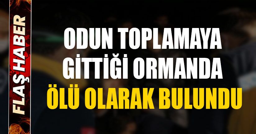 Odun Toplamak İçin Gittiği Ormanda Ölü Olarak Bulundu