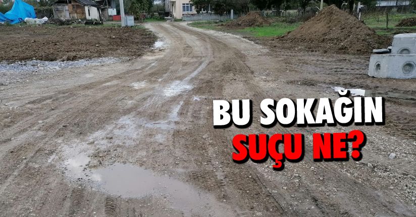Bütün yollar yapıldı, 1 sokak yapılmadı