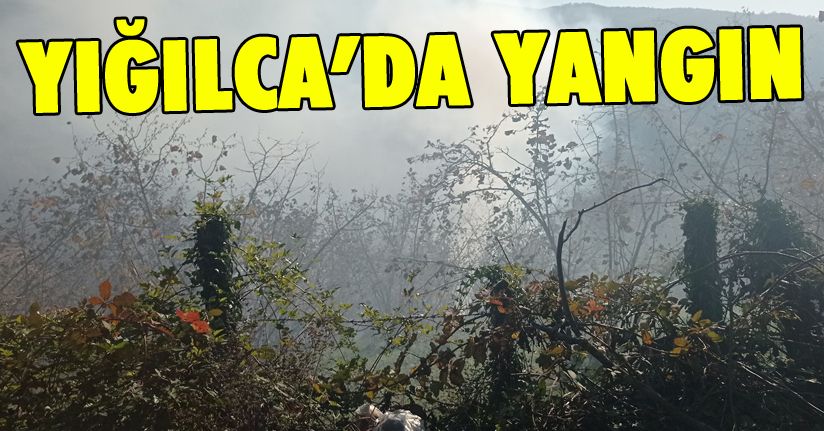Fındıklık yangını kısa sürede söndürüldü