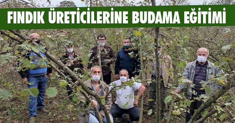 Fındık Üreticilerine Budama Eğitimi