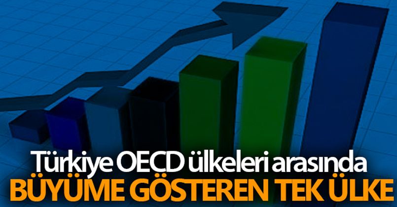 Türkiye OECD ülkeleri arasında büyüme gösteren tek ülke