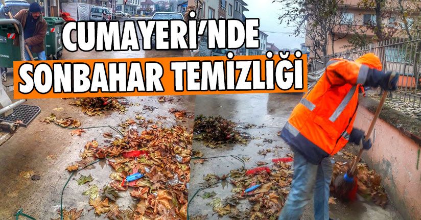 Cumayeri’nde Sonbahar Temizliği 