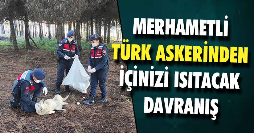 Jandarmadan Örnek Davranış  