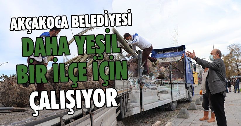 Akçakoca Belediyesi Daha Yeşil Bir İlçe İçin Çalışıyor
