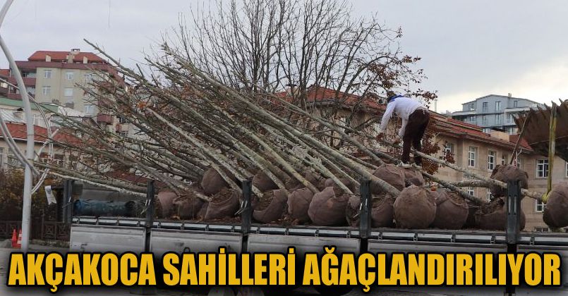 Akçakoca Belediyesi daha yeşil bir ilçe için çalışıyor