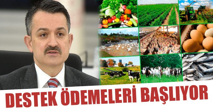 Tarımda Destek Ödemeleri Başlıyor